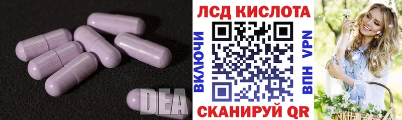 LSD-25 экстази кислота  наркошоп  Новоржев 