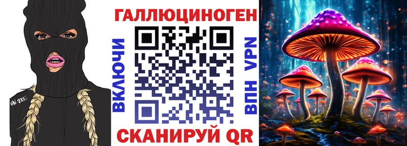 сайты даркнета наркотические препараты Новоржев Галлюциногенные грибы Psilocybe
